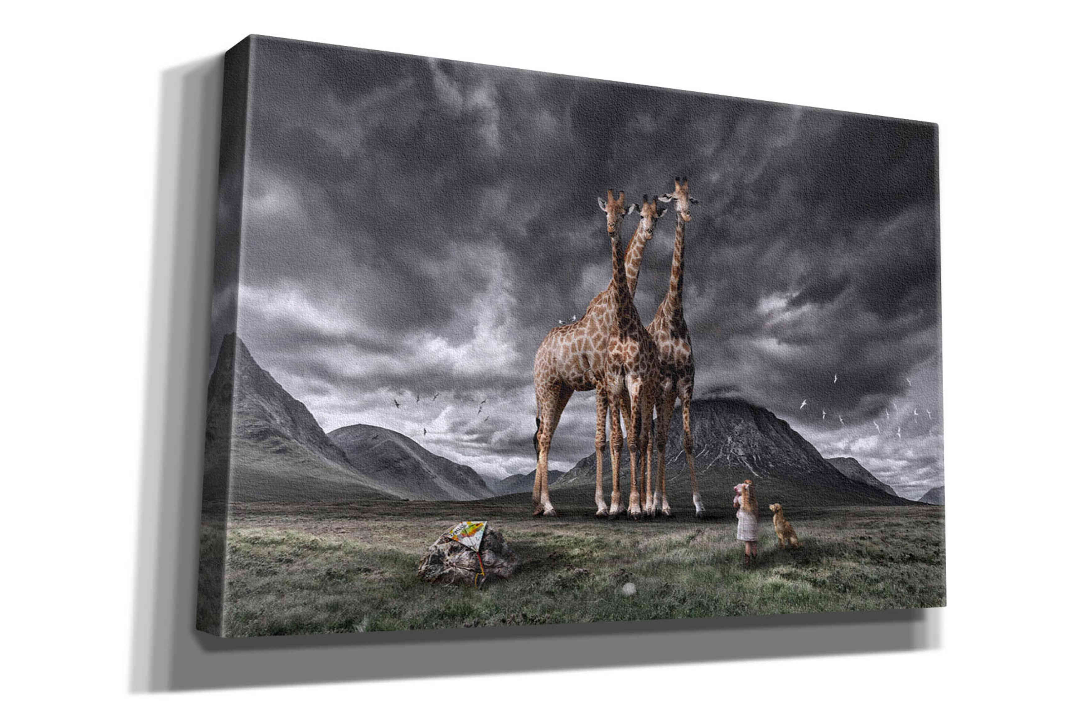 'Long Neck Scotland' by Alan, Giclee Canvas Wall Art