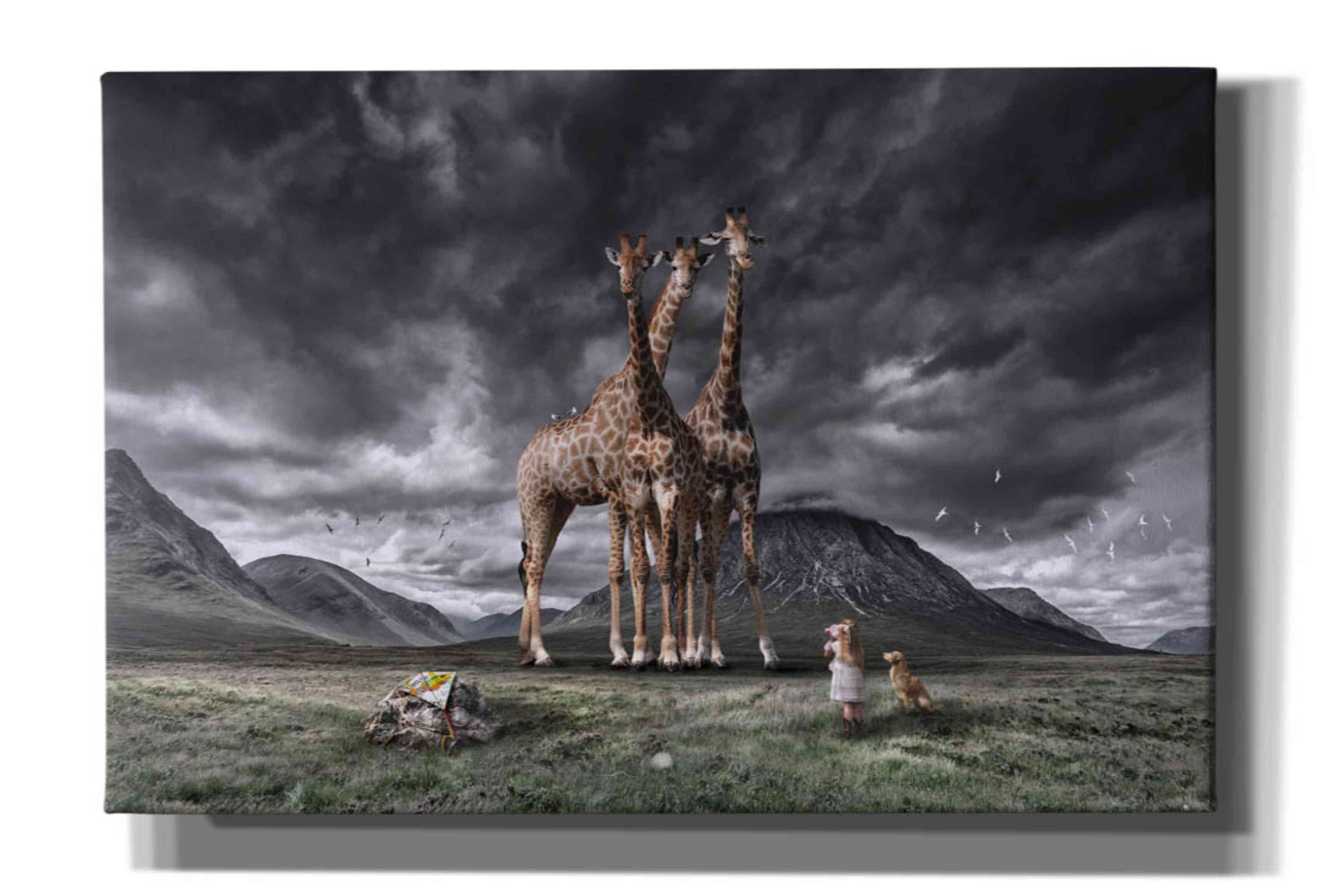 'Long Neck Scotland' by Alan, Giclee Canvas Wall Art