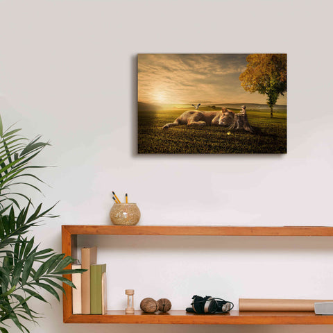 Image of 'Sunset Sleeping' by Alan, Giclee Canvas Wall Art,18x12