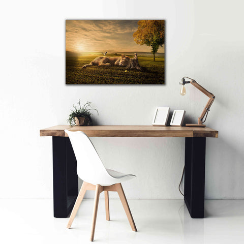 Image of 'Sunset Sleeping' by Alan, Giclee Canvas Wall Art,40x26