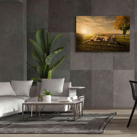Image of 'Sunset Sleeping' by Alan, Giclee Canvas Wall Art,60x40