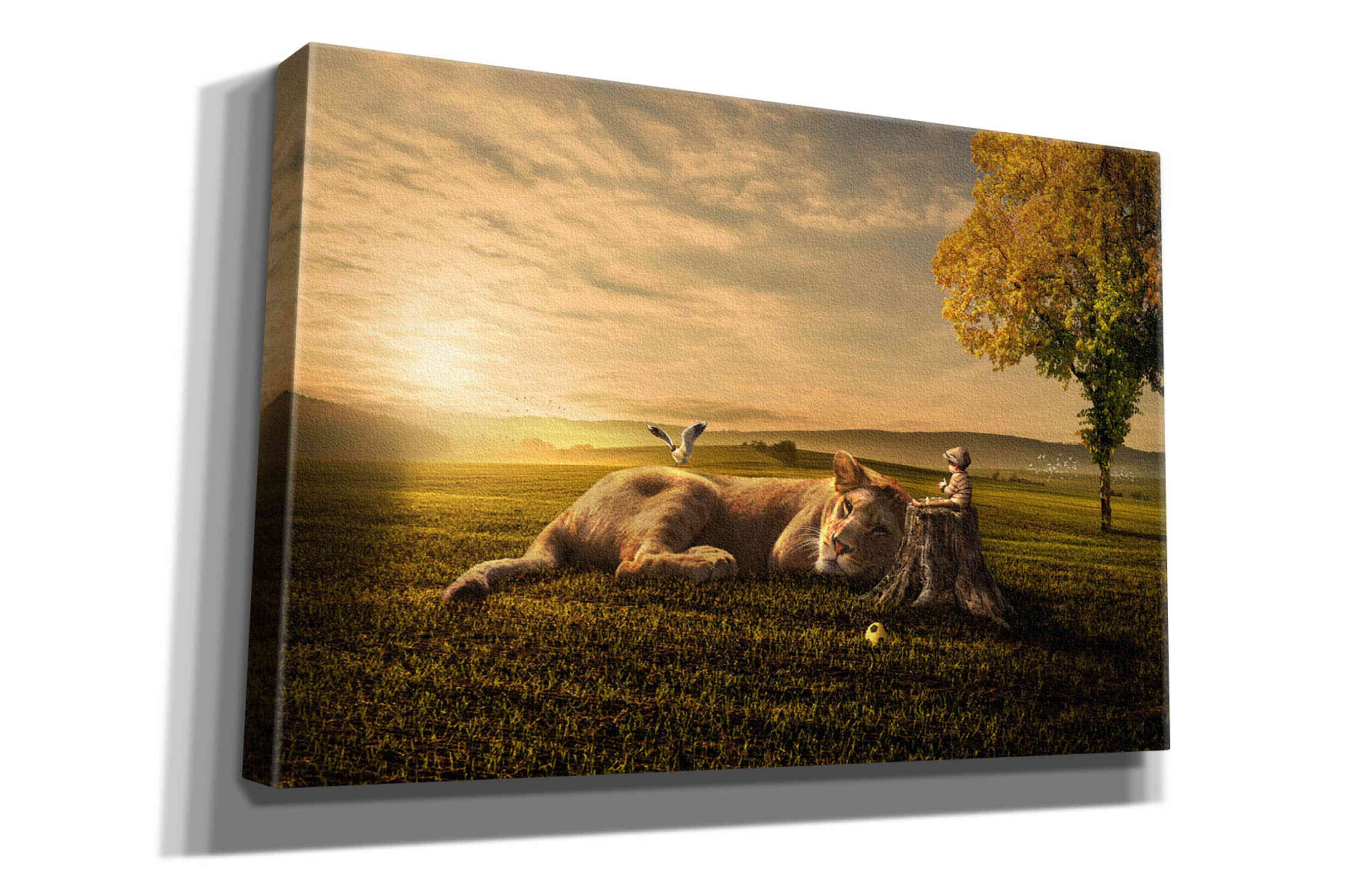 'Sunset Sleeping' by Alan, Giclee Canvas Wall Art