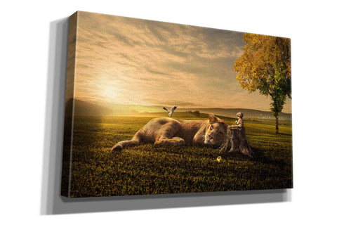 Image of 'Sunset Sleeping' by Alan, Giclee Canvas Wall Art