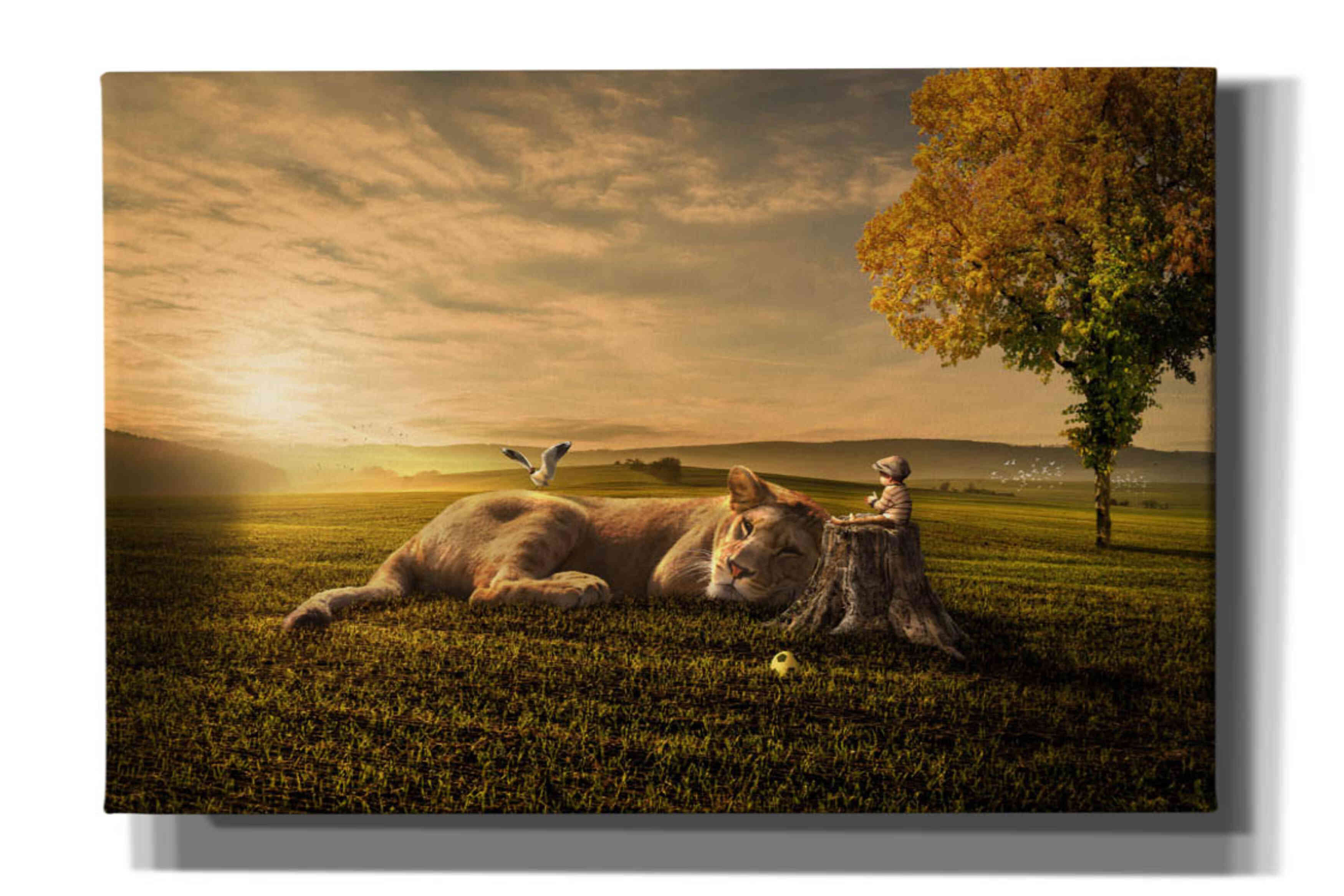 'Sunset Sleeping' by Alan, Giclee Canvas Wall Art