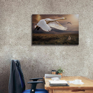 'Take Flight' by Alan, Giclee Canvas Wall Art,40x26