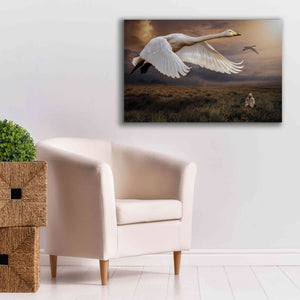 'Take Flight' by Alan, Giclee Canvas Wall Art,40x26