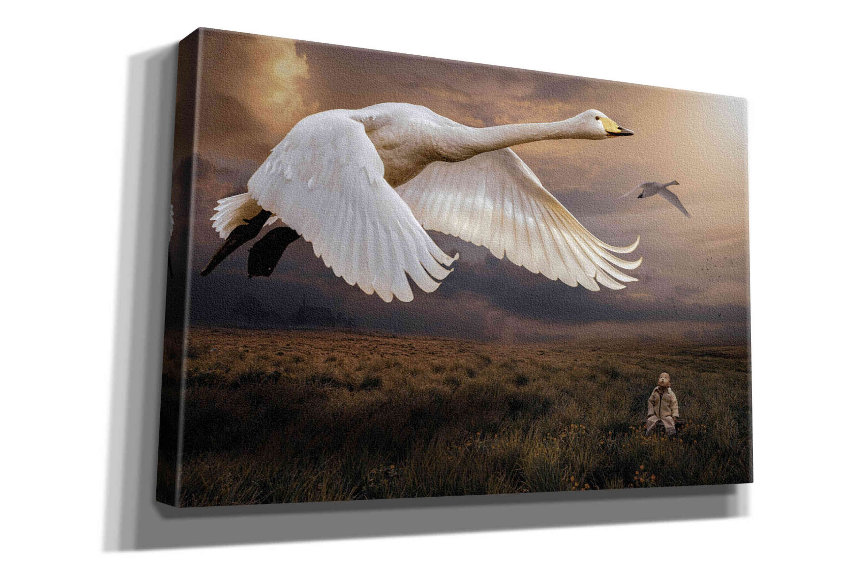 'Take Flight' by Alan, Giclee Canvas Wall Art