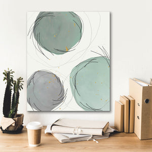'Encircled Orbits II' by Regina Moore, Canvas Wall Art,20 x 24