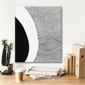'Black & White Abstract II' by Regina Moore, Canvas Wall Art,20 x 24