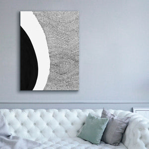 'Black & White Abstract II' by Regina Moore, Canvas Wall Art,40x54