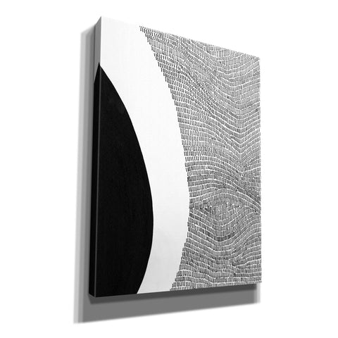 Image of 'Black & White Abstract II' by Regina Moore, Canvas Wall Art