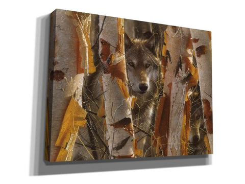 Image of 'The Guardian' by Collin Bogle, Canvas Wall Art,Size C Landscape