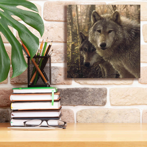 Image of 'Wood Land Companions' by Collin Bogle, Canvas Wall Art,12x12