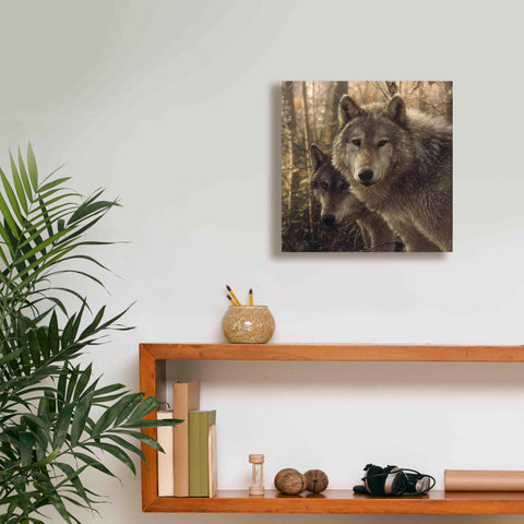 Image of 'Wood Land Companions' by Collin Bogle, Canvas Wall Art,12x12