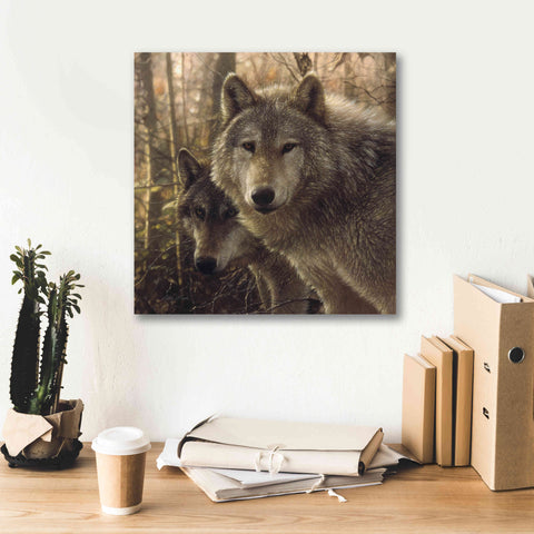 Image of 'Wood Land Companions' by Collin Bogle, Canvas Wall Art,18x18
