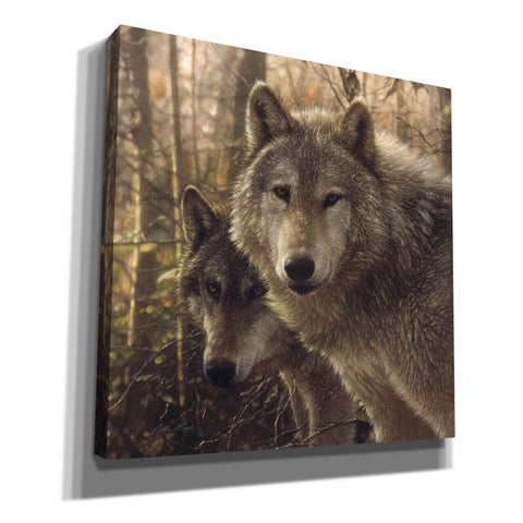 Image of 'Wood Land Companions' by Collin Bogle, Canvas Wall Art,Size 1 Square