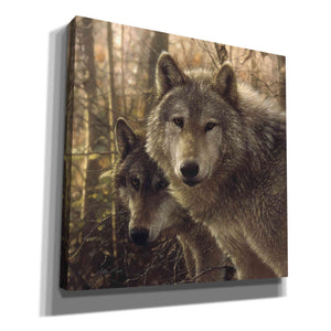 'Wood Land Companions' by Collin Bogle, Canvas Wall Art,Size 1 Square