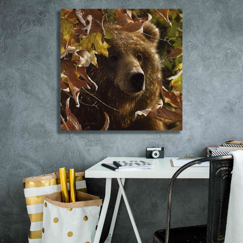 Image of 'Legend Of The Fall' by Collin Bogle, Canvas Wall Art,26x26