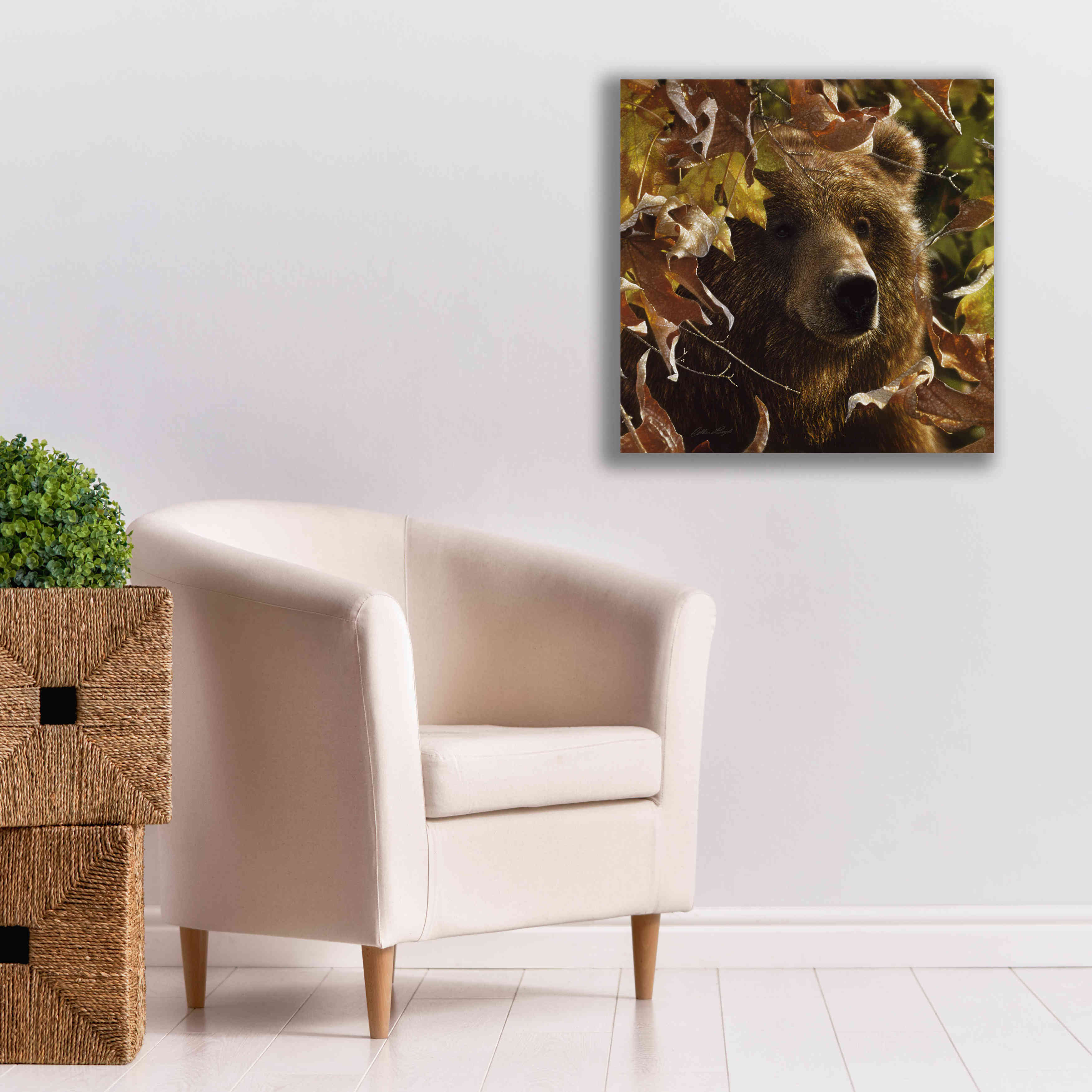 'Legend Of The Fall' by Collin Bogle, Canvas Wall Art,26x26