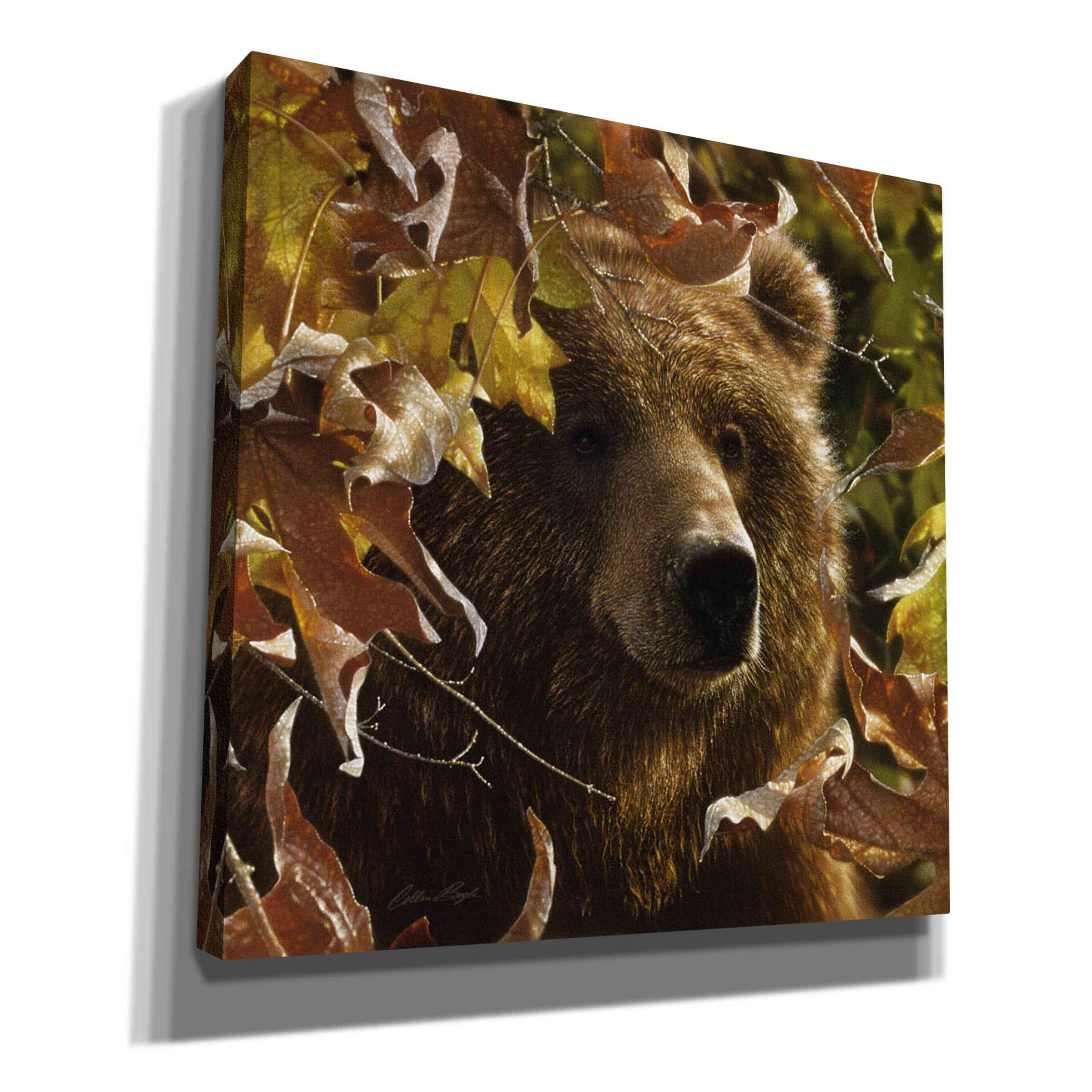 'Legend Of The Fall' by Collin Bogle, Canvas Wall Art,Size 1 Square