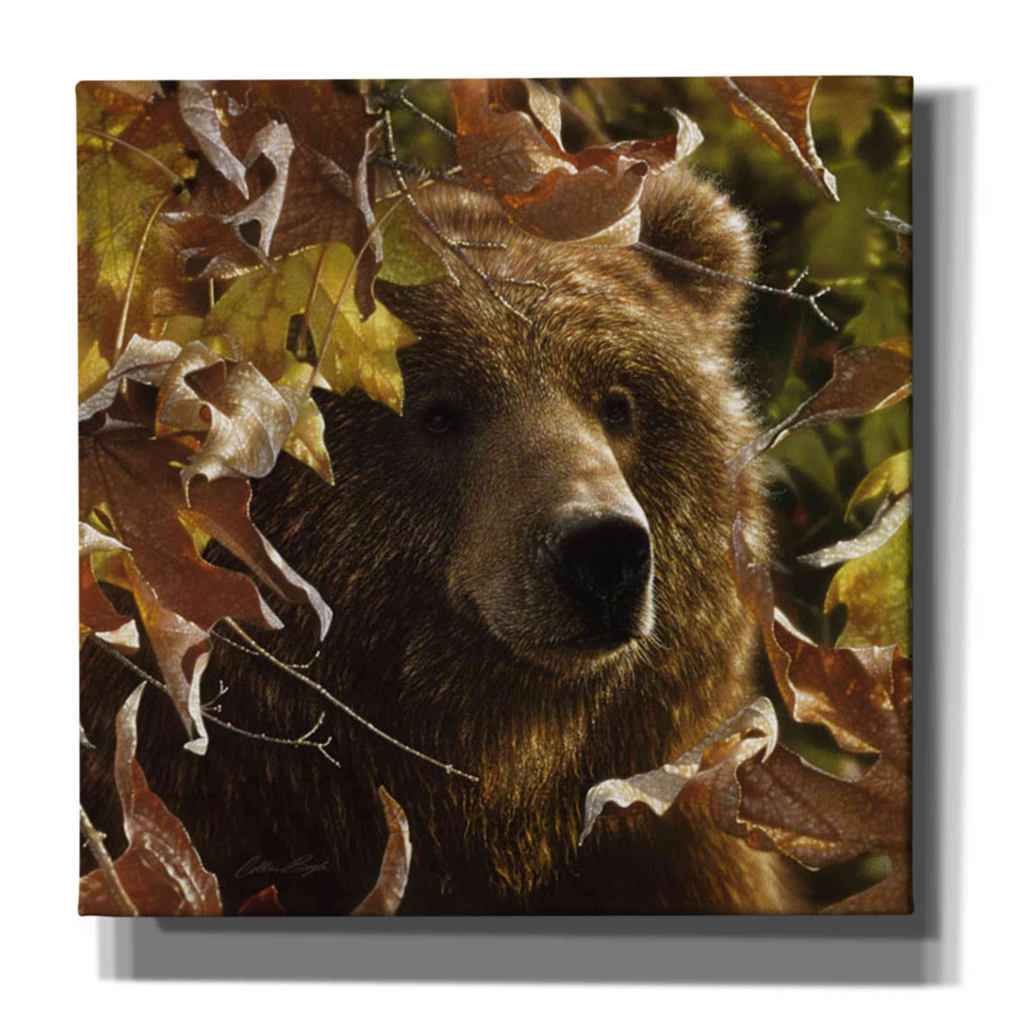'Legend Of The Fall' by Collin Bogle, Canvas Wall Art,Size 1 Square