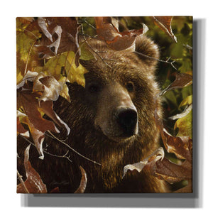 'Legend Of The Fall' by Collin Bogle, Canvas Wall Art,Size 1 Square