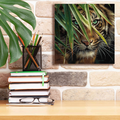 Image of 'Tiger Eyes' by Collin Bogle, Canvas Wall Art,12x12
