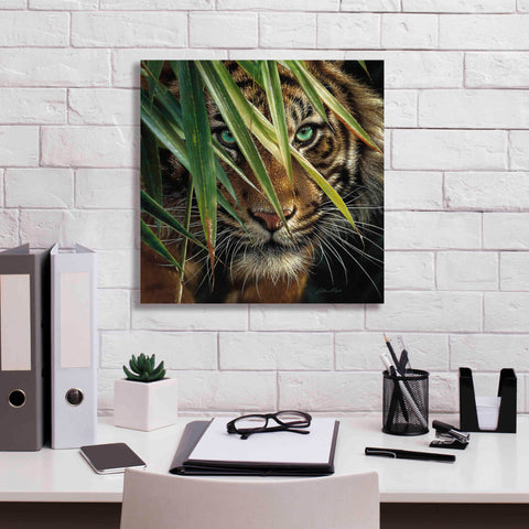Image of 'Tiger Eyes' by Collin Bogle, Canvas Wall Art,18x18