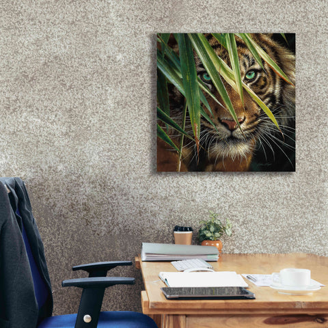Image of 'Tiger Eyes' by Collin Bogle, Canvas Wall Art,26x26