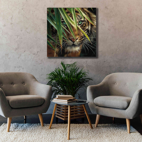Image of 'Tiger Eyes' by Collin Bogle, Canvas Wall Art,37x37