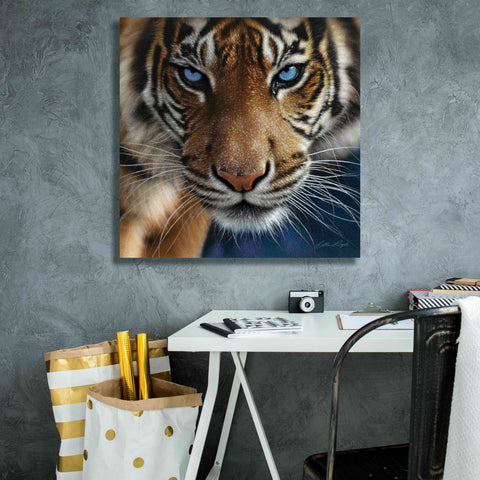 Image of 'Blue Eyes' by Collin Bogle, Canvas Wall Art,26x26