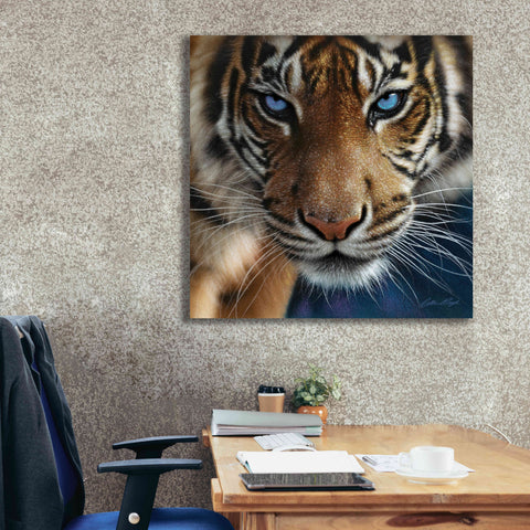 Image of 'Blue Eyes' by Collin Bogle, Canvas Wall Art,37x37
