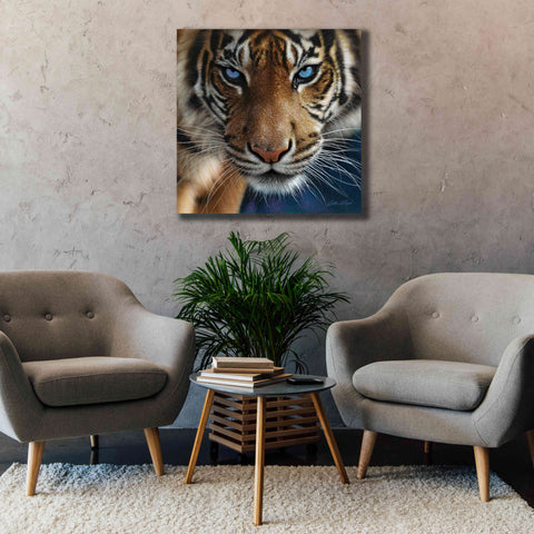 Image of 'Blue Eyes' by Collin Bogle, Canvas Wall Art,37x37