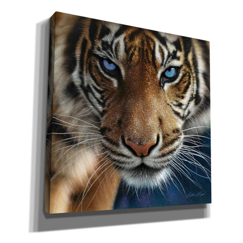 Image of 'Blue Eyes' by Collin Bogle, Canvas Wall Art,Size 1 Square