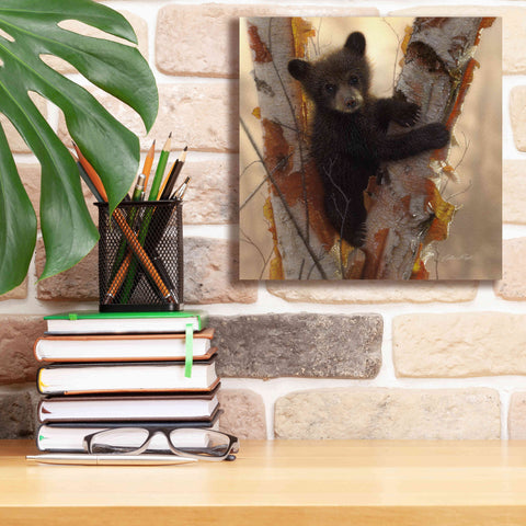 Image of 'Curious Cub I' by Collin Bogle, Canvas Wall Art,12x12
