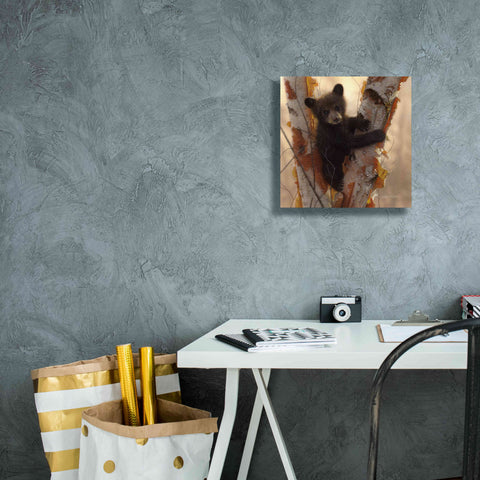 Image of 'Curious Cub I' by Collin Bogle, Canvas Wall Art,12x12