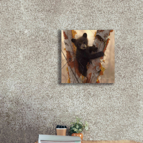 Image of 'Curious Cub I' by Collin Bogle, Canvas Wall Art,18x18