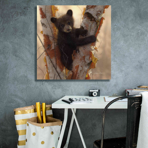 Image of 'Curious Cub I' by Collin Bogle, Canvas Wall Art,26x26