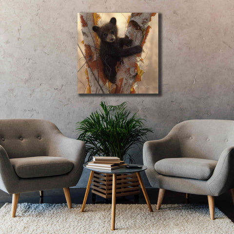 Image of 'Curious Cub I' by Collin Bogle, Canvas Wall Art,37x37