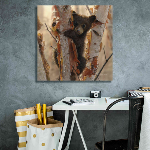 Image of 'Curious Cub II' by Collin Bogle, Canvas Wall Art,26x26
