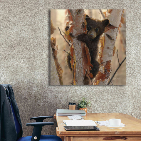Image of 'Curious Cub II' by Collin Bogle, Canvas Wall Art,37x37