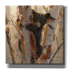 'Curious Cub II' by Collin Bogle, Canvas Wall Art,Size 1 Square