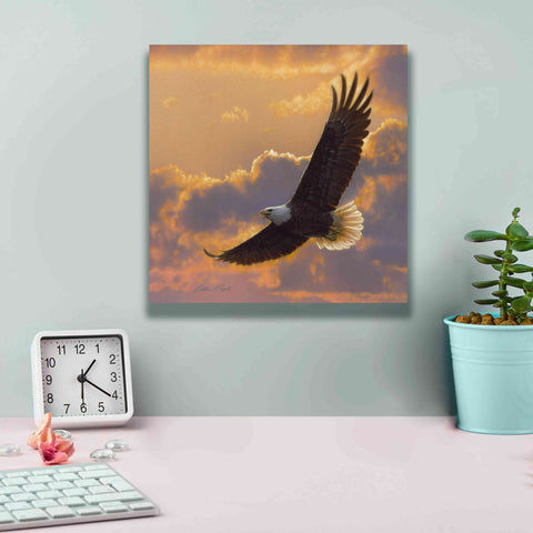 Image of 'Soaring Spirit' by Collin Bogle, Canvas Wall Art,12x12