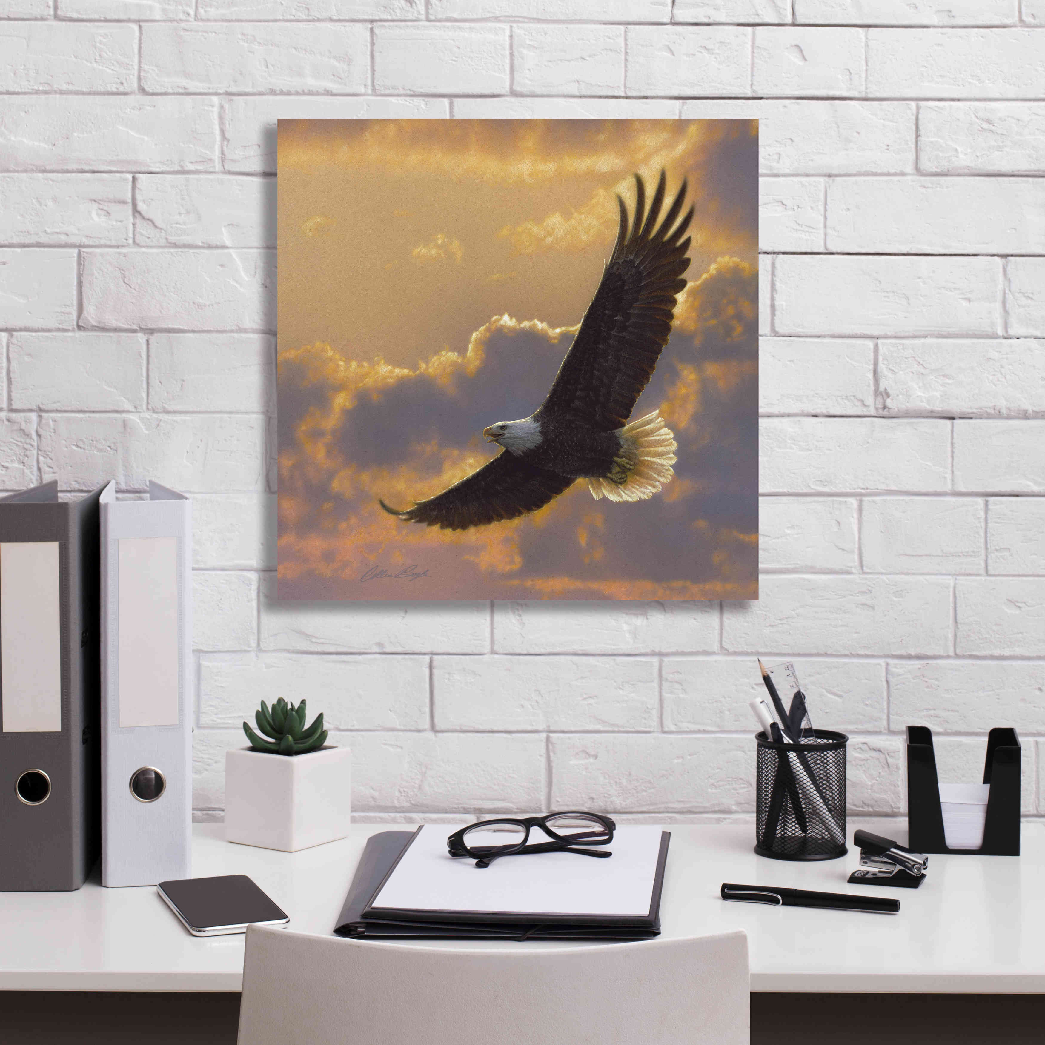 'Soaring Spirit' by Collin Bogle, Canvas Wall Art,18x18