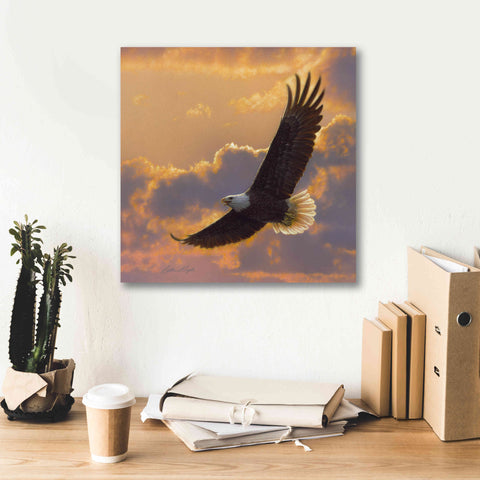 Image of 'Soaring Spirit' by Collin Bogle, Canvas Wall Art,18x18