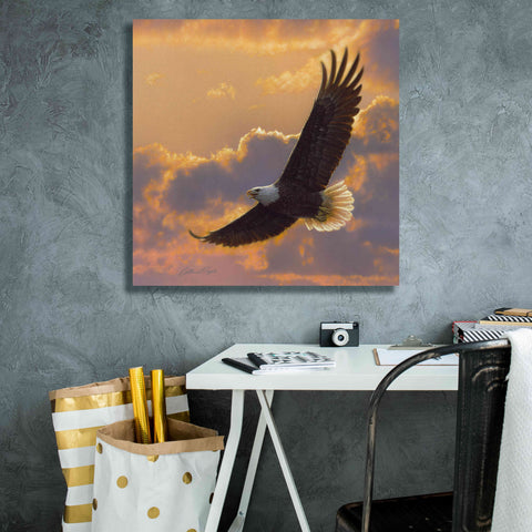 Image of 'Soaring Spirit' by Collin Bogle, Canvas Wall Art,26x26
