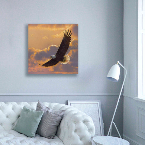 Image of 'Soaring Spirit' by Collin Bogle, Canvas Wall Art,37x37