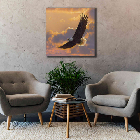 Image of 'Soaring Spirit' by Collin Bogle, Canvas Wall Art,37x37