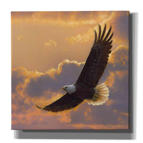 Image of 'Soaring Spirit' by Collin Bogle, Canvas Wall Art,Size 1 Square