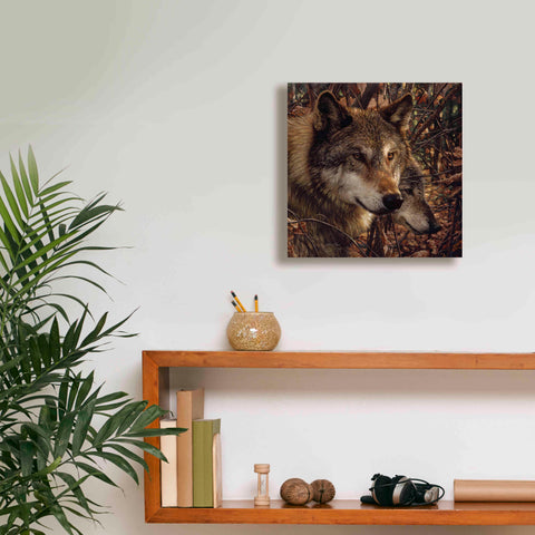 Image of 'Colors of Autumn' by Collin Bogle, Canvas Wall Art,12x12